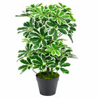 55cm Variegated Artificial Arboricola Plant