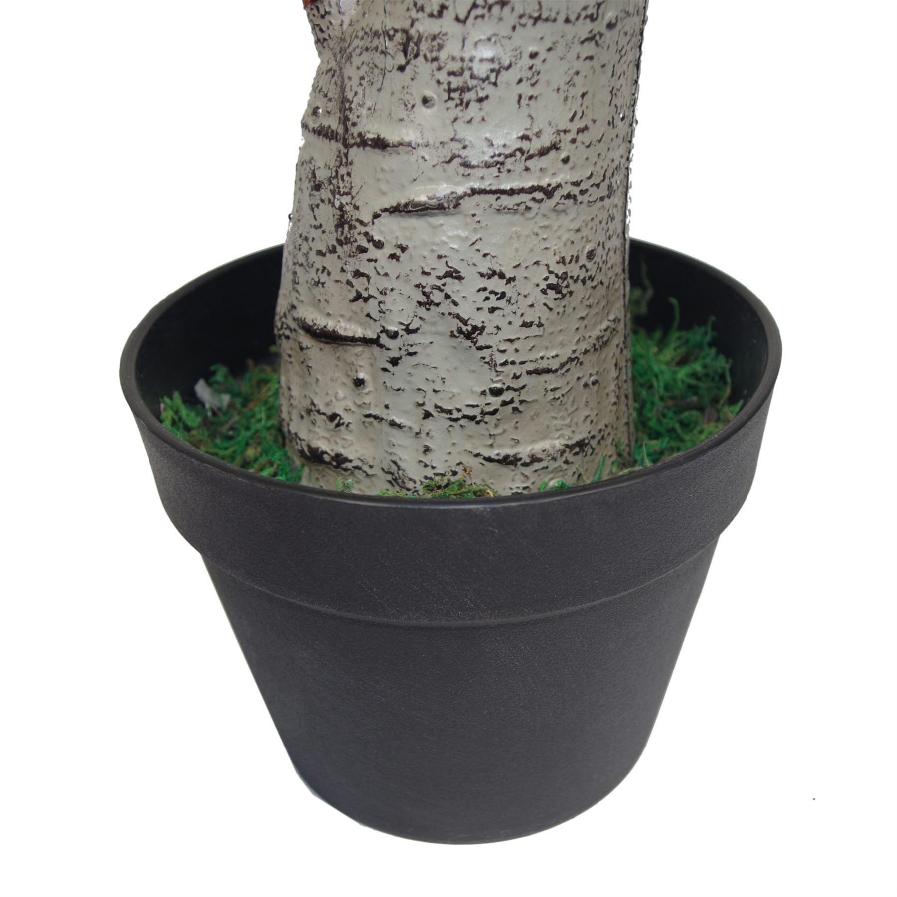 75cm Artificial Dracaena Plant Wide Trunk Triple Branch