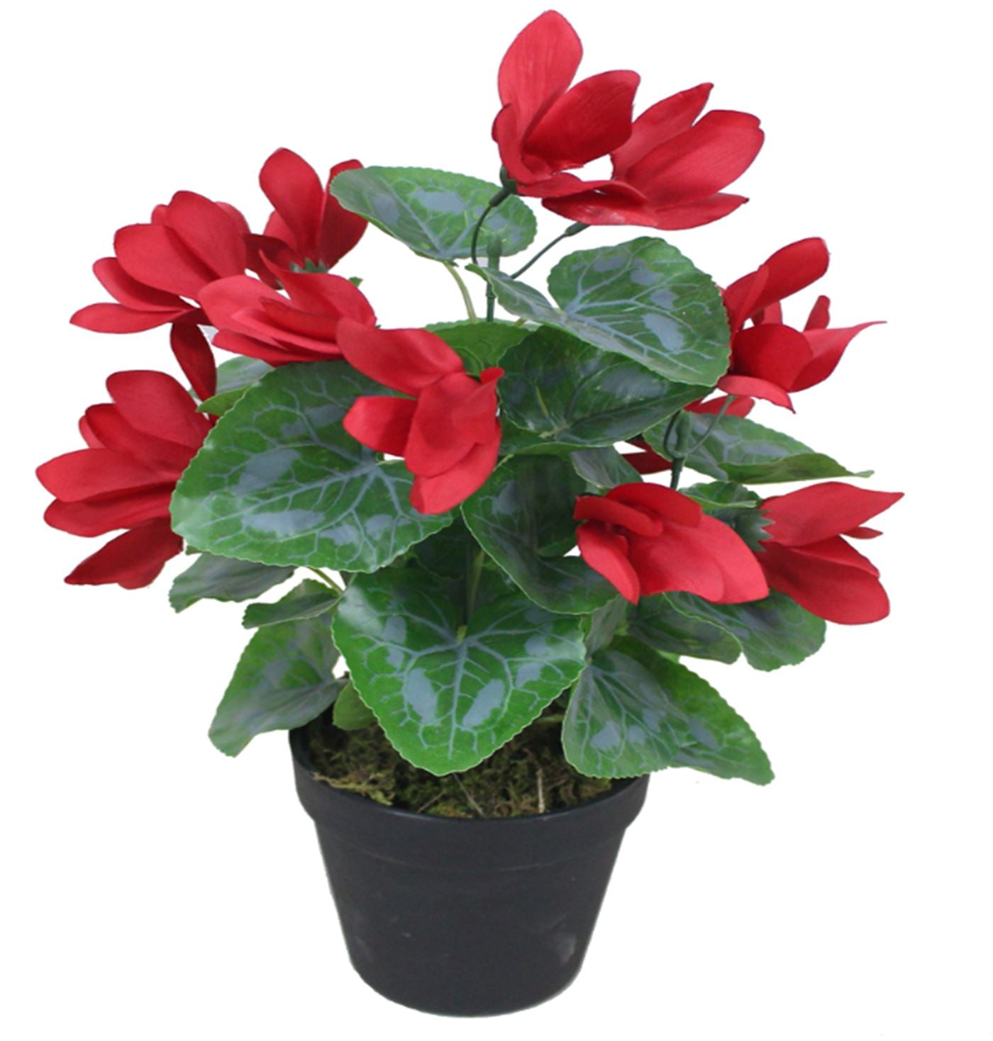 Artificial 38cm Cylamen Plant Red