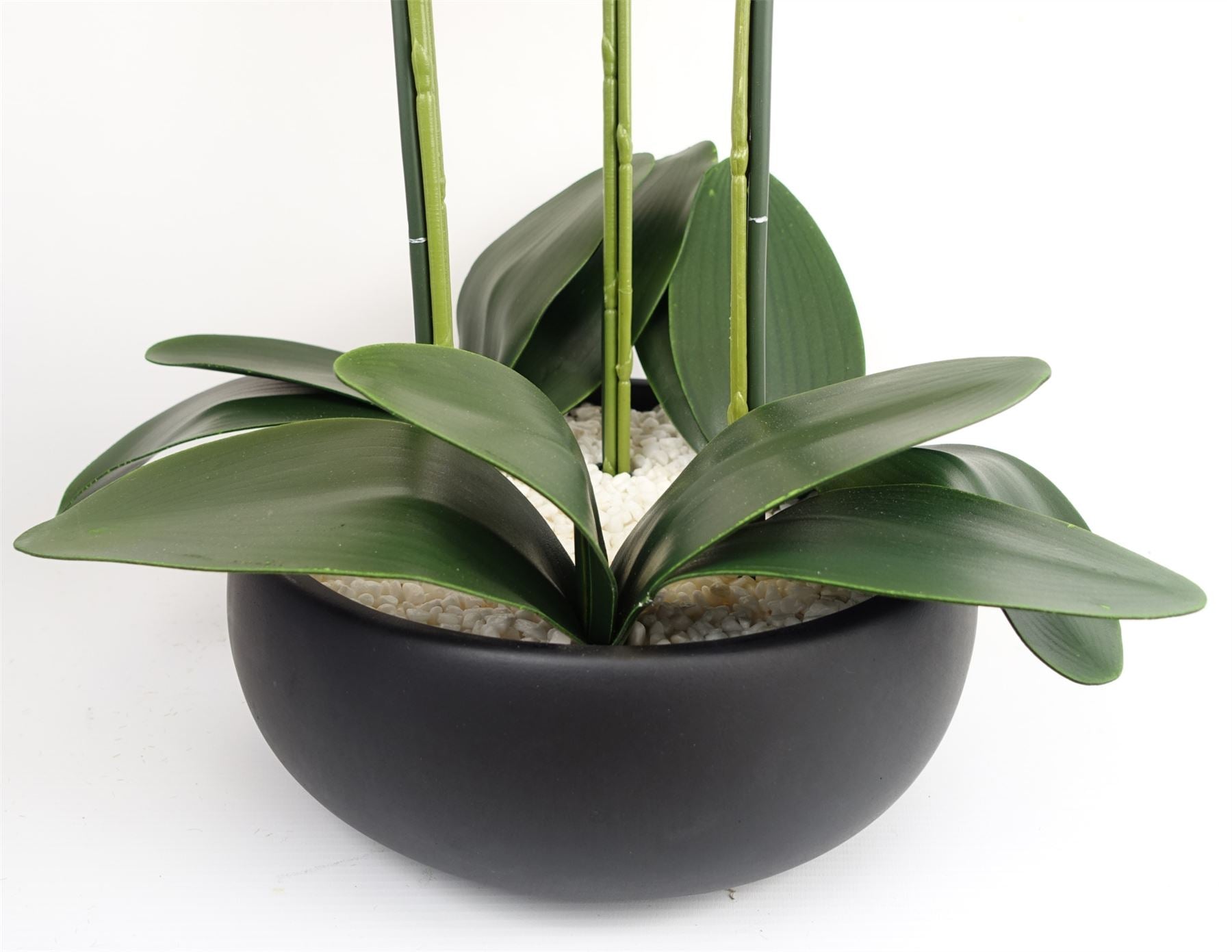 Artificial 60cm Orchid Yellow Black Ceramic Planter