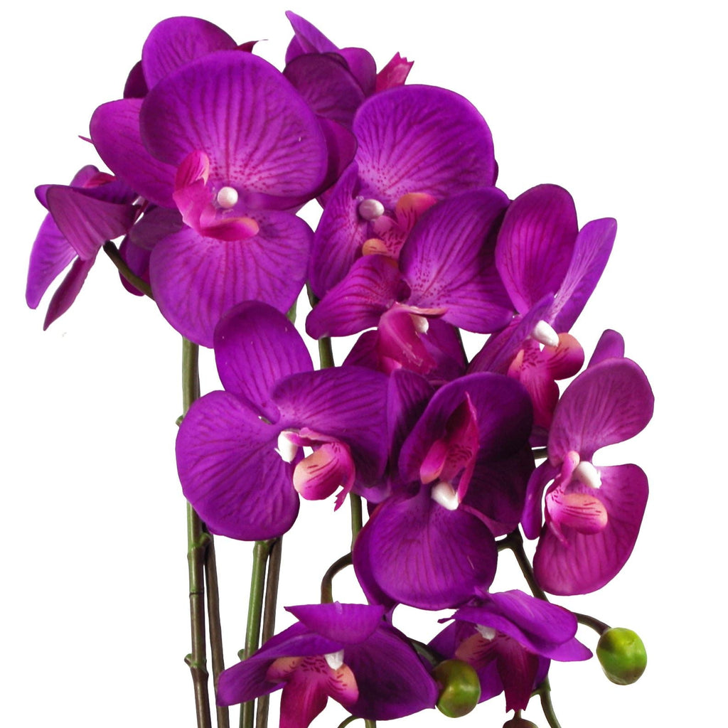 52cm Artificial Orchid Large Purple Gold