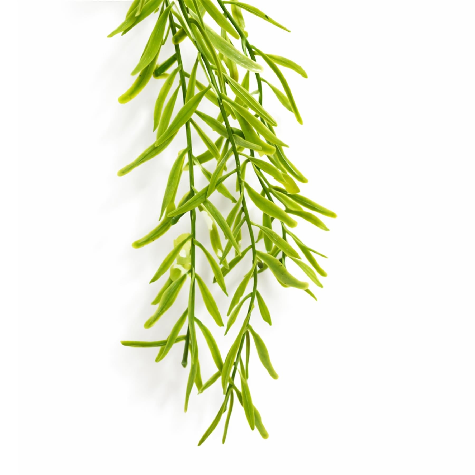 100cm Artificial Trailing Rhipsalis Hanging Plant Light Green Tips
