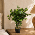 60cm Artificial Ficus Tree Large Bushy Shape