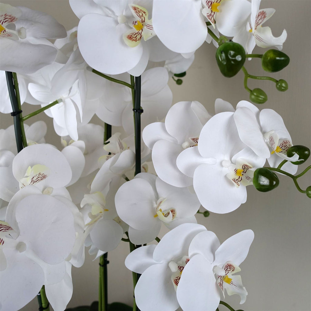 Artificial 60cm Orchid White Black Ceramic Planter