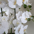 Artificial 60cm Orchid White Black Ceramic Planter