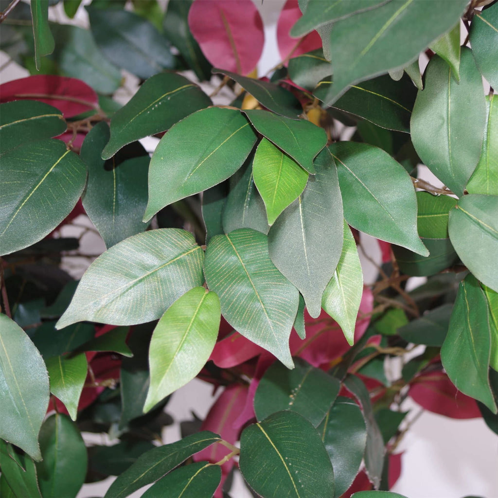 120cm Artificial Capensia Tree Ficus Plant Extra Large