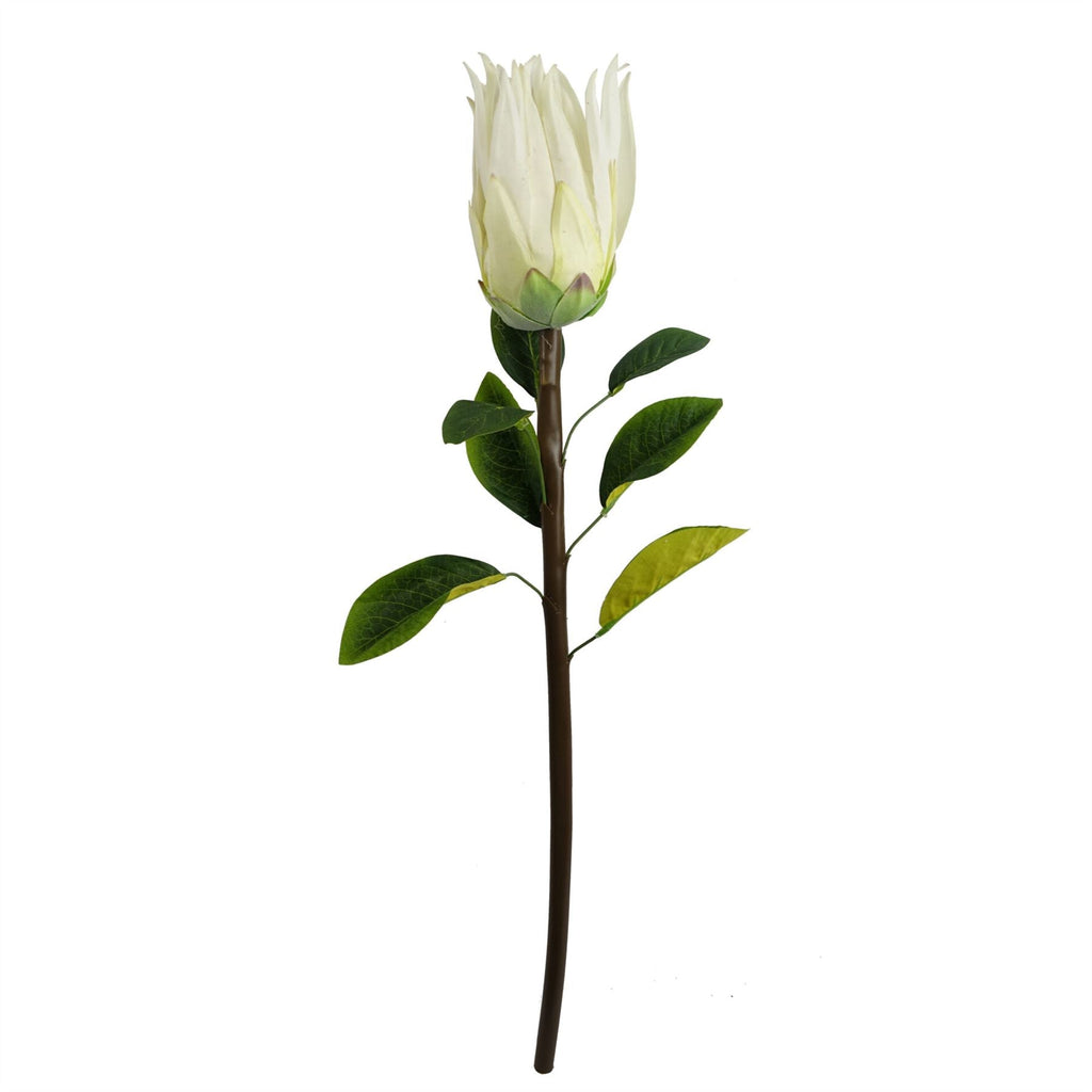 65cm Artificial Protea Sugarbush Flower Stem White