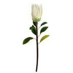 65cm Artificial Protea Sugarbush Flower Stem White