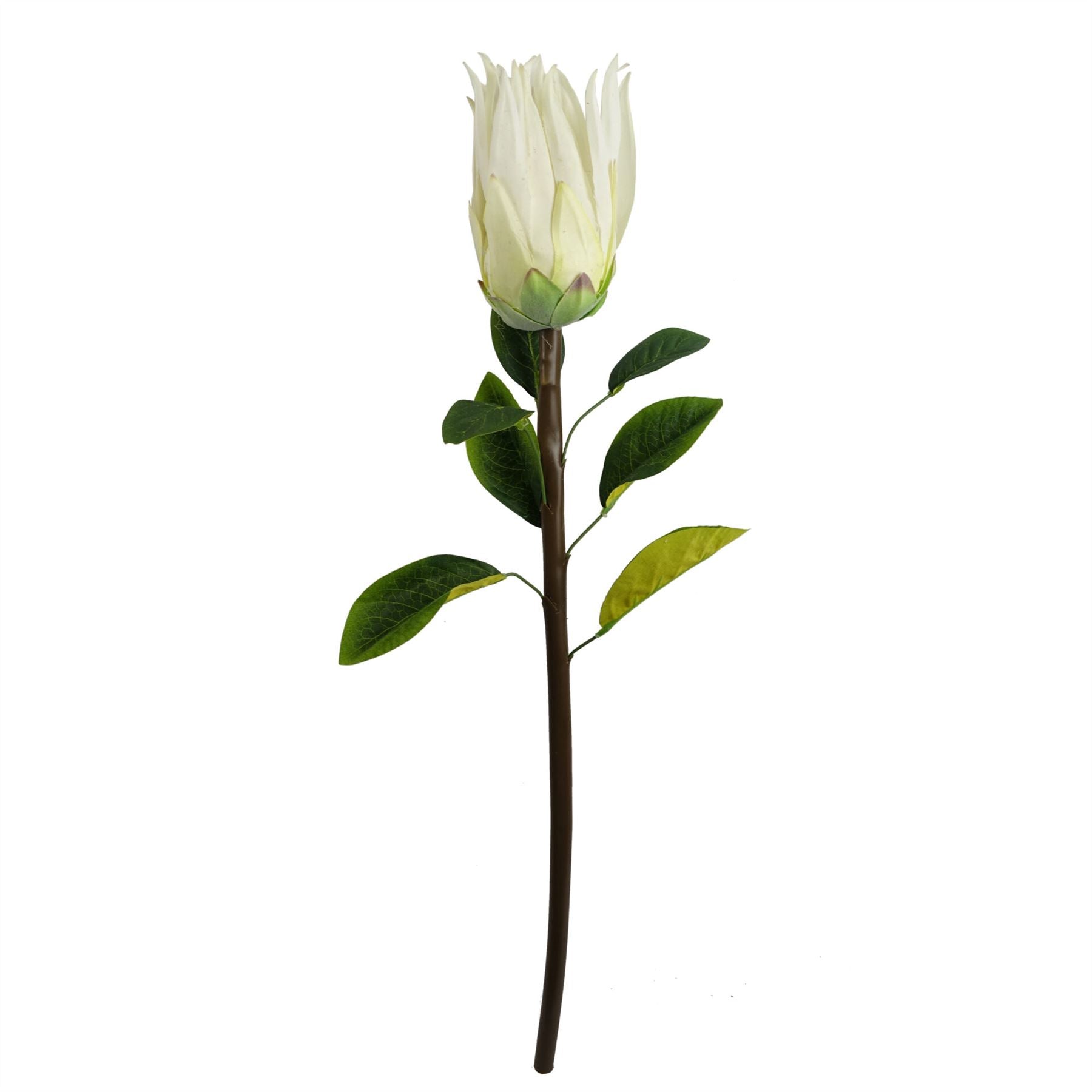 65cm Artificial Protea Sugarbush Flower Stem White