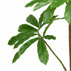 120cm Dwarf Umbrella Realistic Artificial Tree