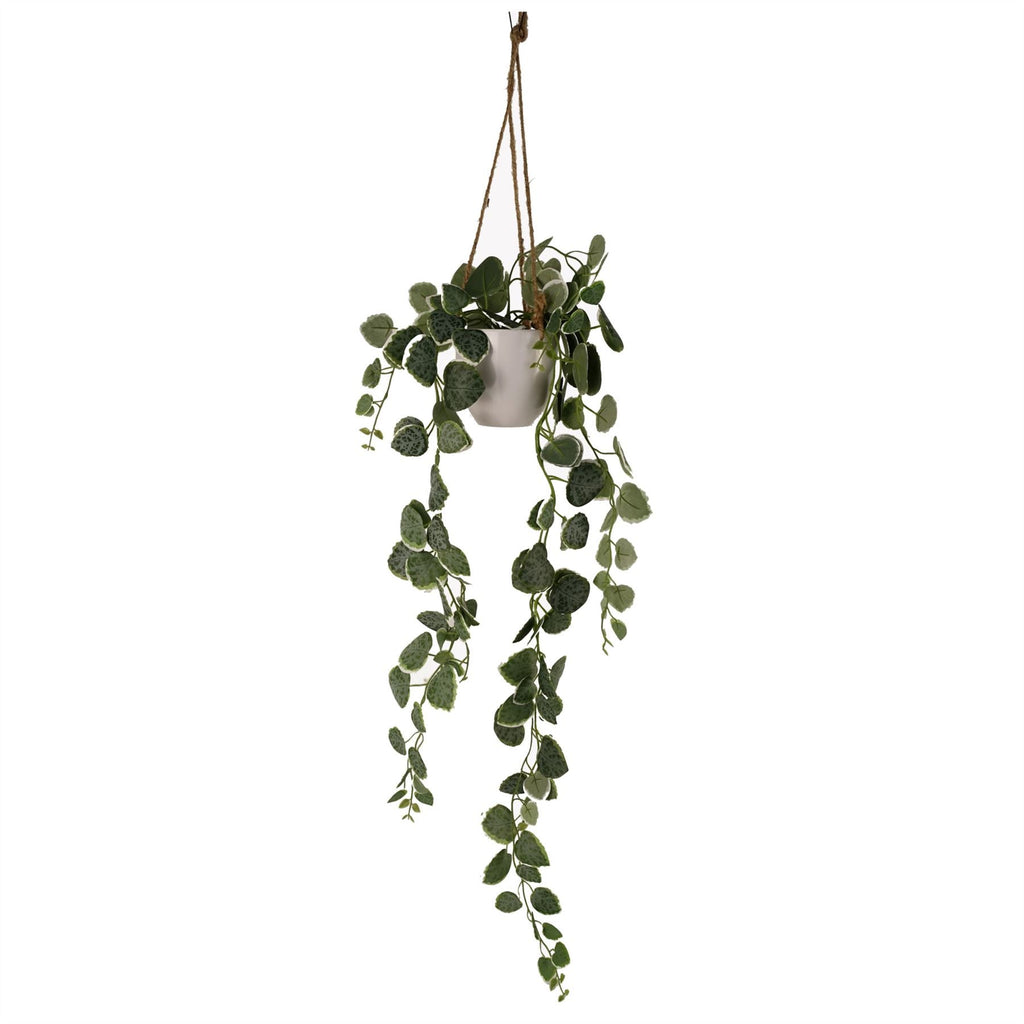 90cm Artificial Potted Hanging Trailing Green Plant String of Hearts