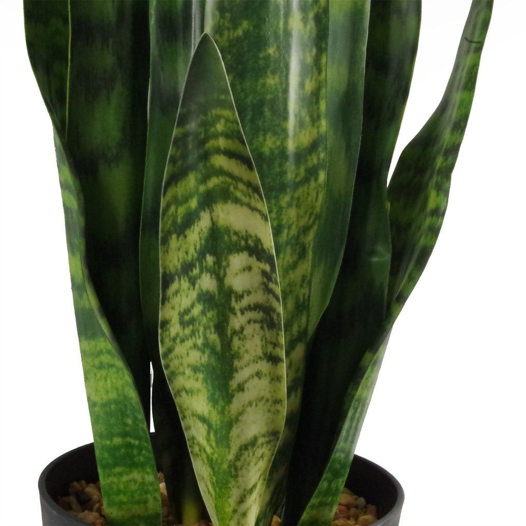 Artificial 70cm Sansevieria Zeylanica Plant