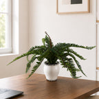 40cm Artificial Fern Bush in Decorative Planter