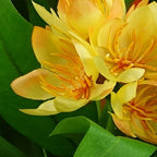 18cm Artificial Freesia Plant Yellow Flowering