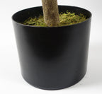 Artificial 120cm Pair of Buxus Ball Cone Tree UV Resistant Outdoor