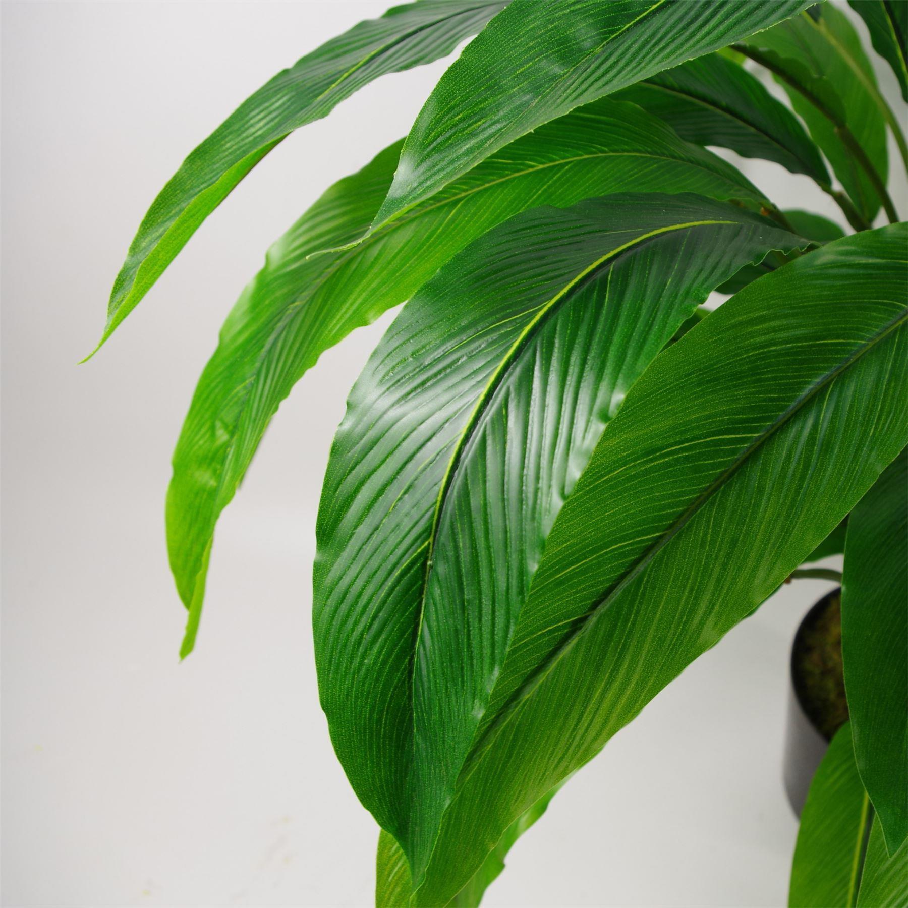 90cm Artificial Calathea Plant Dark Green