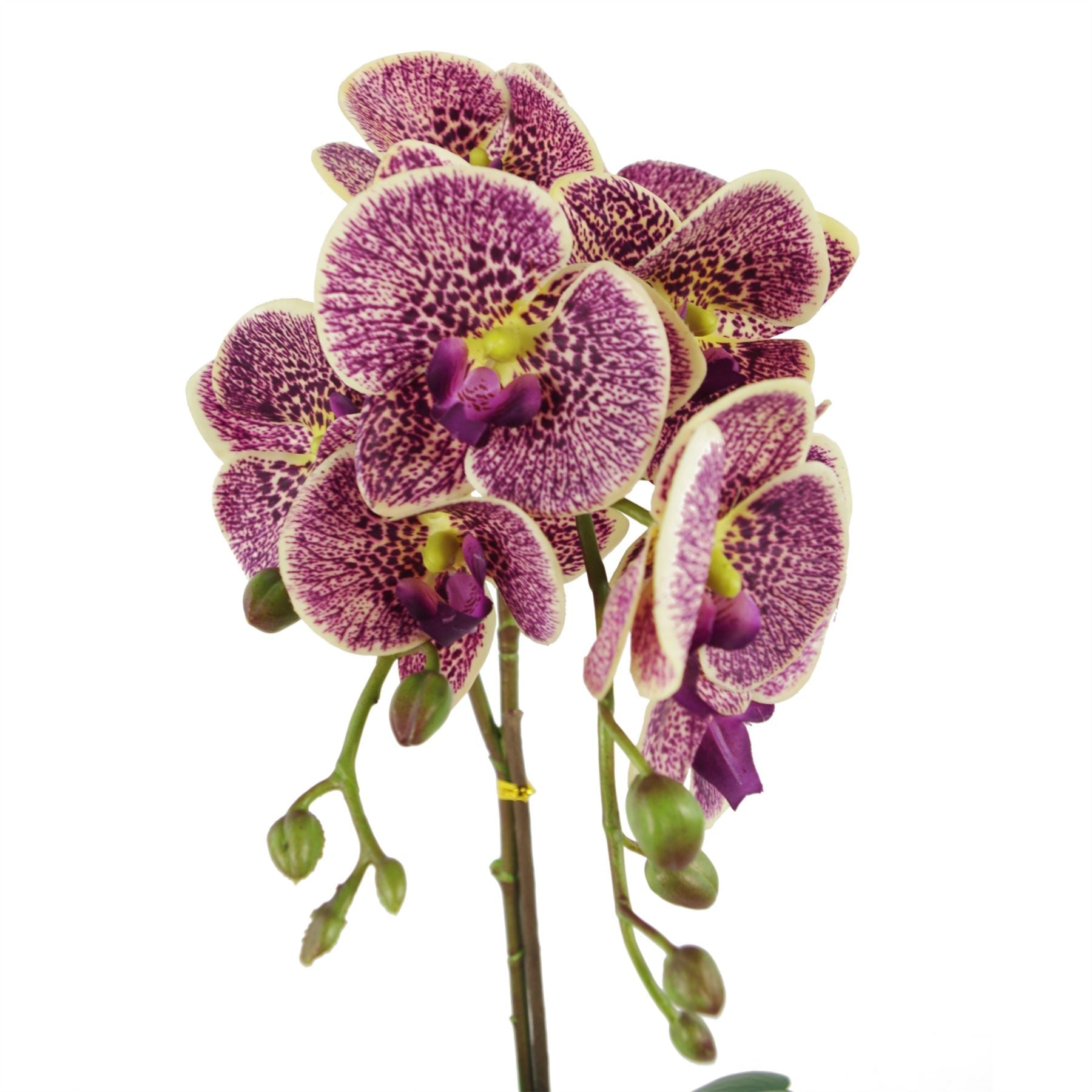 50cm Phalaenopsis Orchid Artificial Purple Leopard Gold Pot