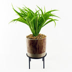 35cm Artificial Grass with Ceramic Planter Metal Stand