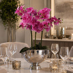 29cm XL Silver Champagne Bowl Planter