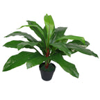 60cm Bushy Large Bird's Nest Fern Plant Artificial
