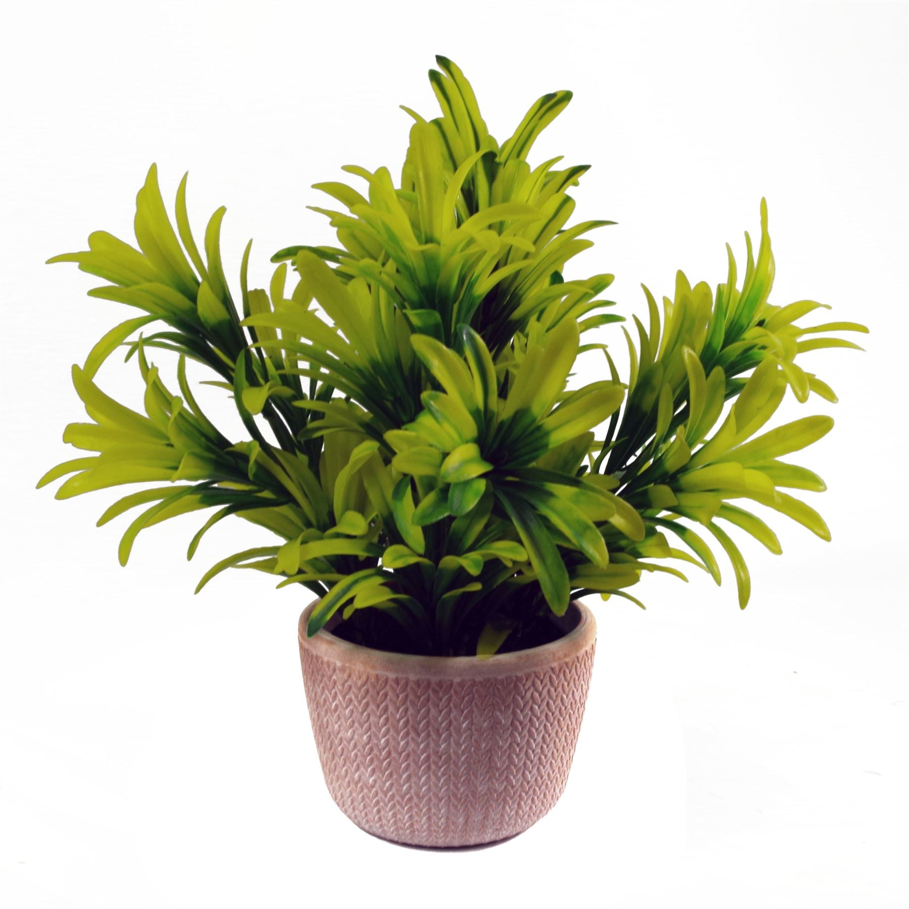 22cm Artificial Honey Plant Light Green in Terracotta Pot