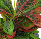 40cm Artificial Codiaeum Multicoloured Plant