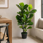 90cm Large Artificial Fiddle Fig Tree Ficus Lyrata Plant