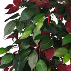 120cm Artificial Capensia Tree Ficus Plant Extra Large