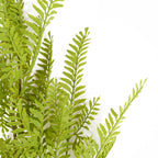 95cm Artificial Himilayan Maidenhair Fern Stem