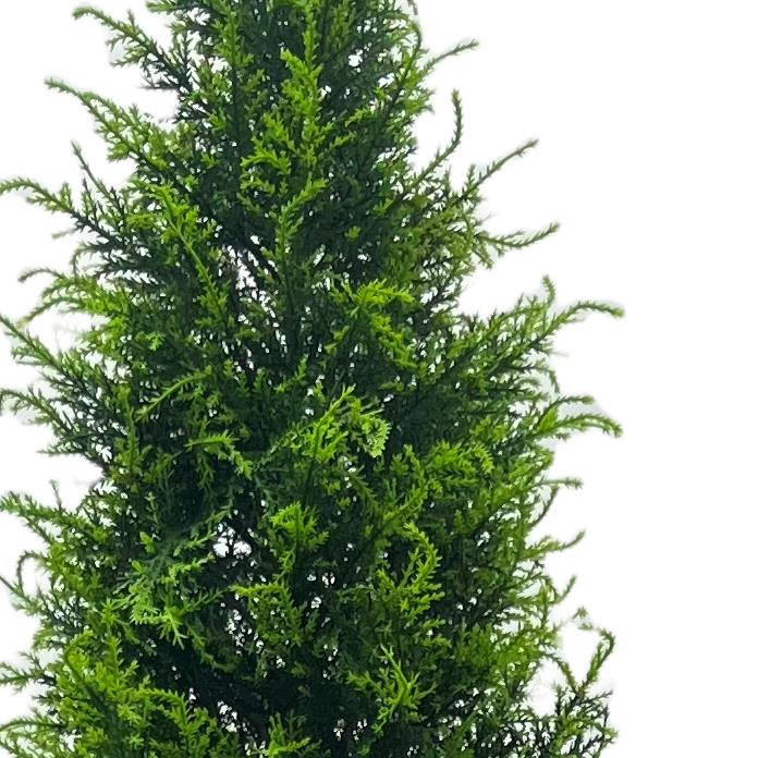 UV Resistant Outdoor 150cm Artificial Cypress Cedar Topiary Tree