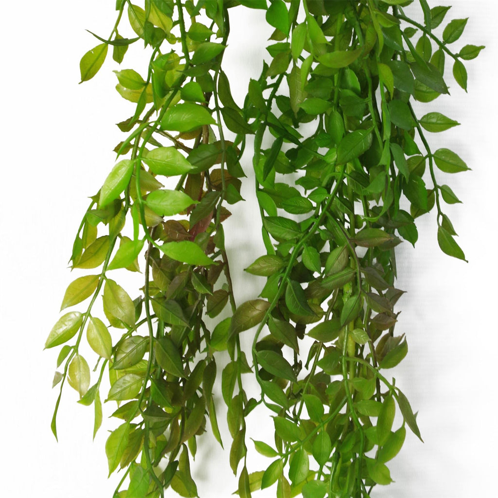 100cm Artificial Hanging String of Pearls Fern Plant Dark Green