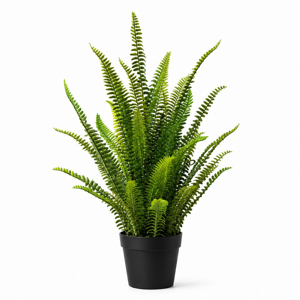 74cm Artificial Fern Plant