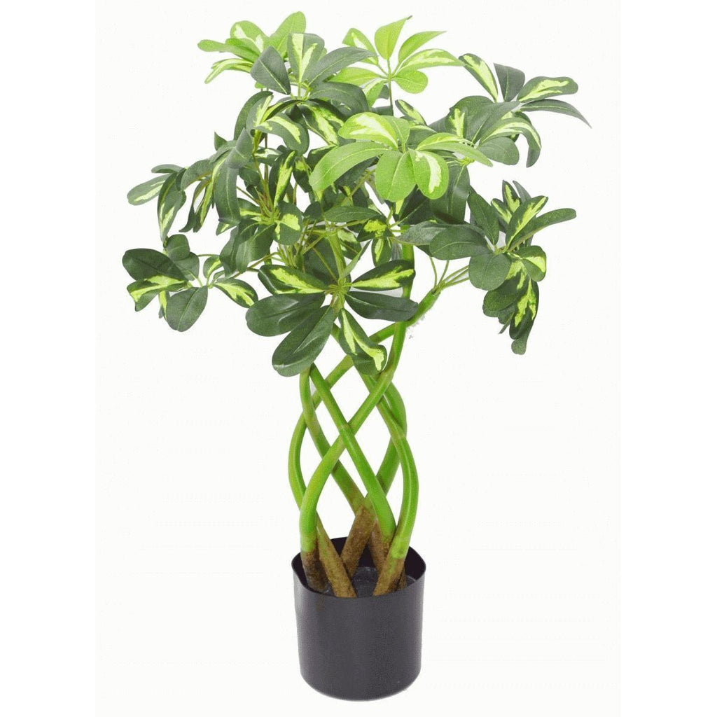 70cm Twisted Stem Modern Arboricola Artificial Plant Bonsai Bush