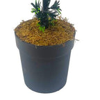 90cm Podocarpus Double Ball Topiary Tree Artificial
