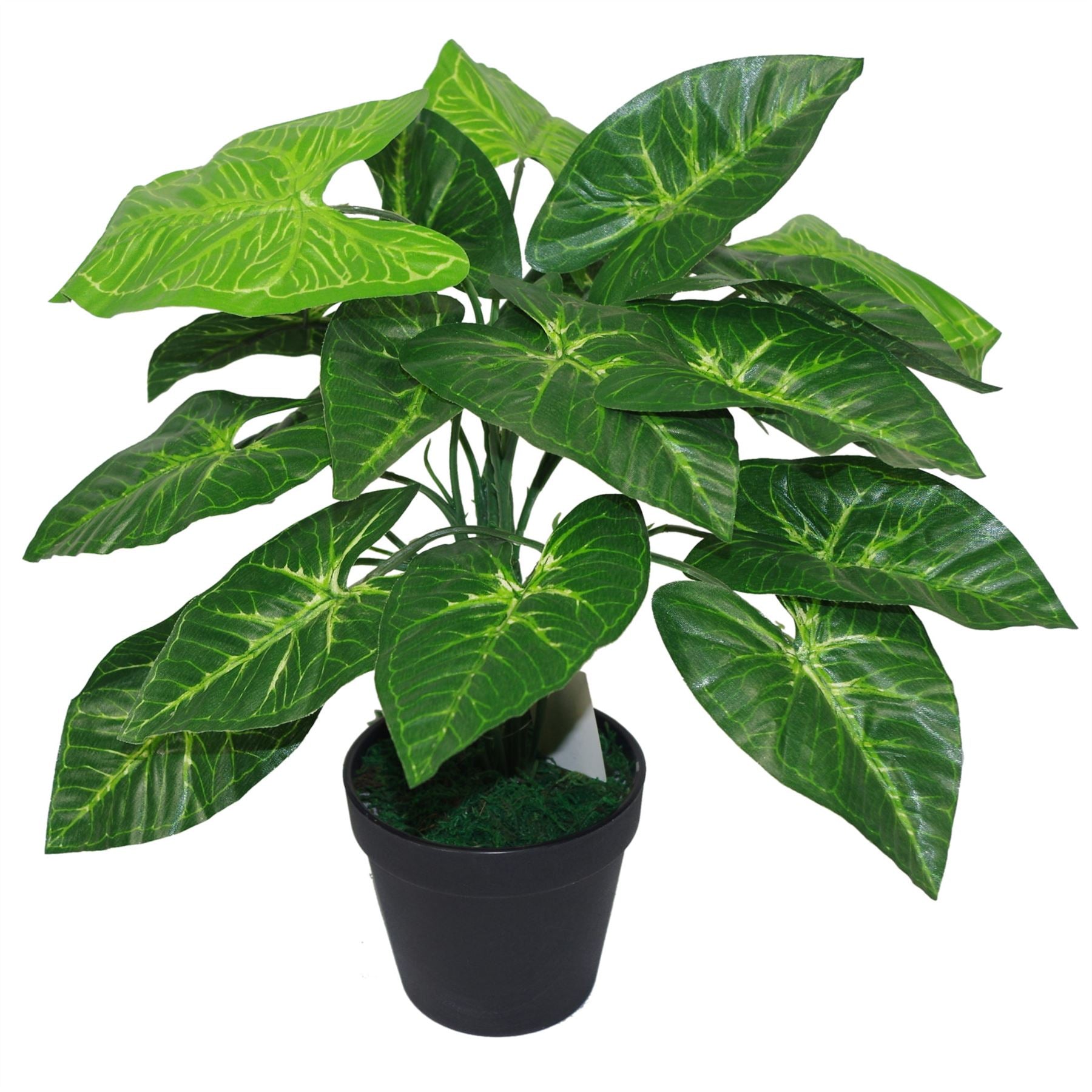 45cm Artificial Taro Plant 45cm Dark Taro
