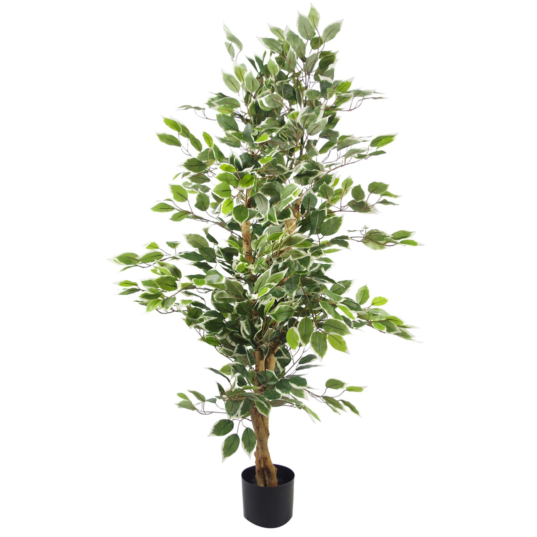 130cm Artificial Variegated White/Green Bushy Ficus Tree