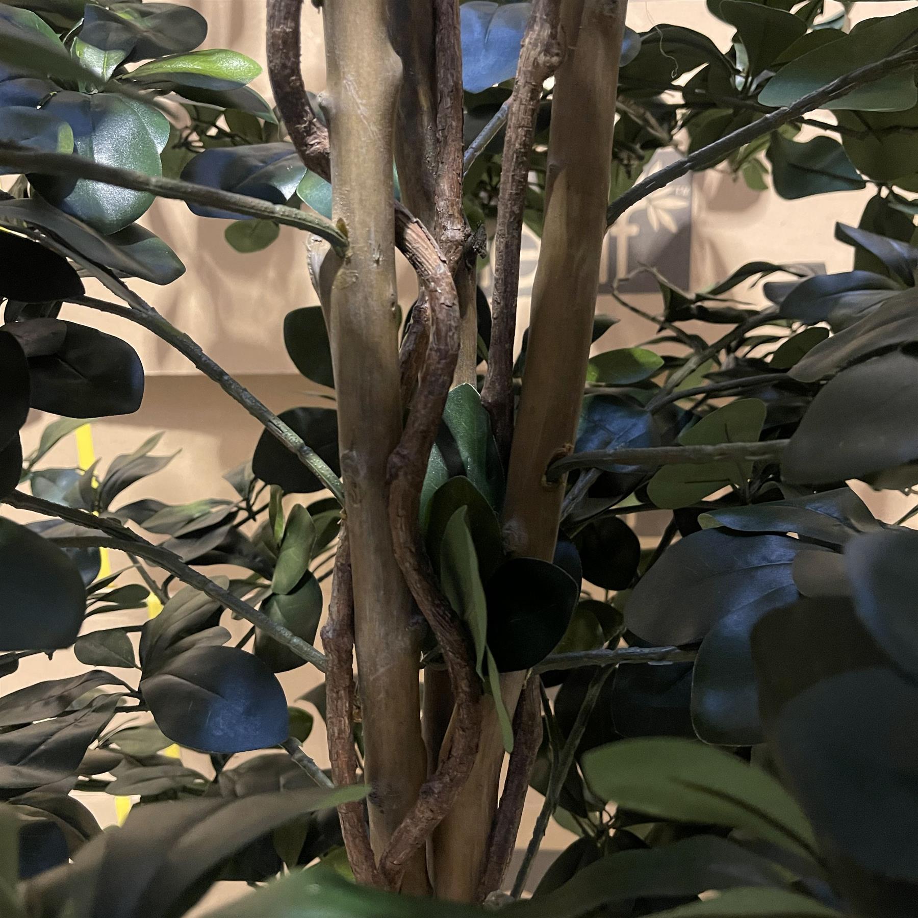 180cm Artificial Fire Retardant Black Olive Tree and Natural Trunk