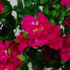 Artificial 100cm Azalea Pink Flowers Potted Plant with Gold Planter