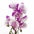 50cm Phalaenopsis Orchid Artificial Purple White Gold Pot