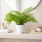 Faux 30cm Artificial Potted Southern Wood Fern