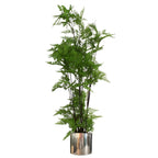 Leaf Planter Plant Pot with Polished Silver Finish 20 x 18cm