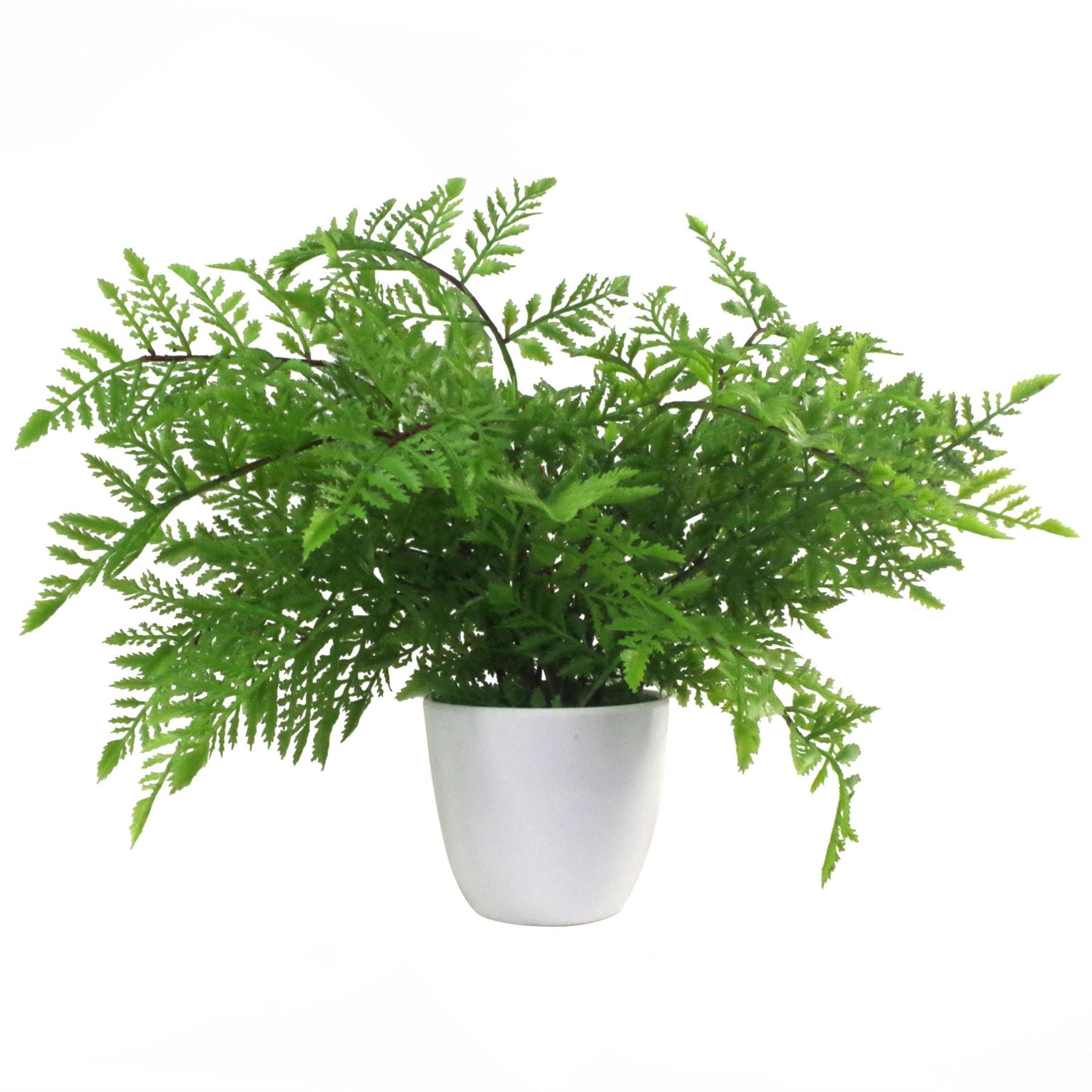 Faux 30cm Artificial Potted Southern Wood Fern