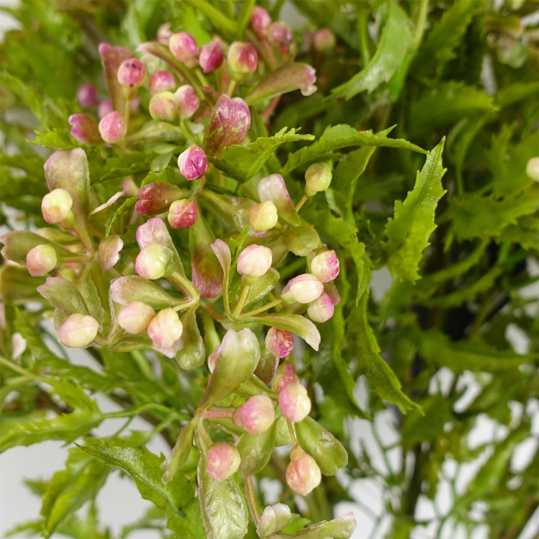 55cm Artificial Foliage Stem with Pink Berries