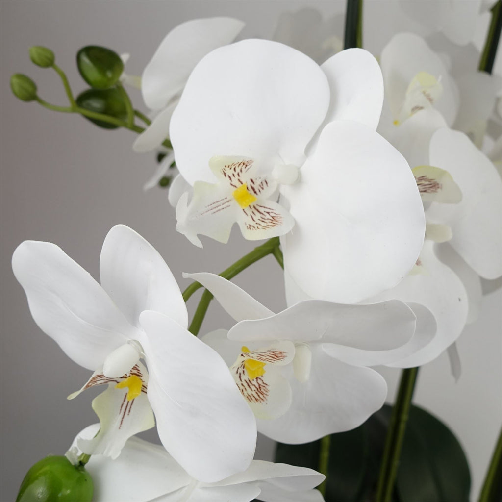 Artificial 60cm Orchid White Black Ceramic Planter