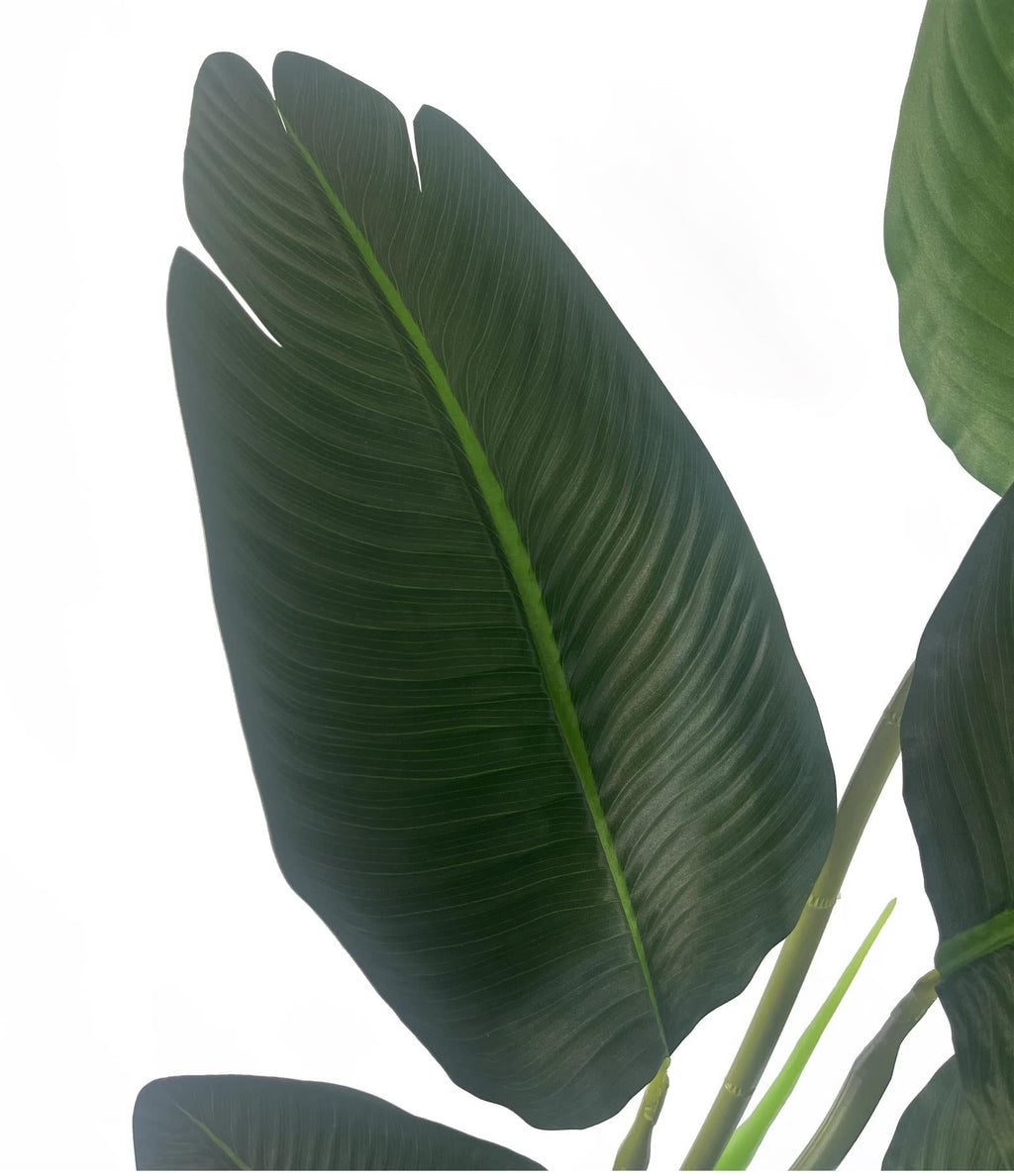 120cm Artificial UV Traveller Banana Palm Tree