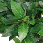 120cm Artificial Topiary Bay Tree Pyramid Cone Extra Large