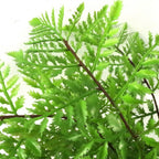 Faux 30cm Artificial Potted Southern Wood Fern
