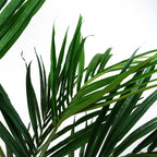 Artificial 150cm Kentia Palm Tree