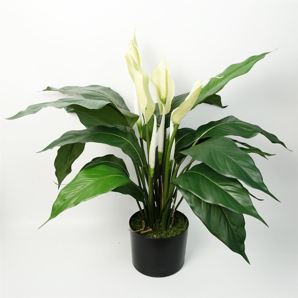 Artificial White Spathiphyllum Peace Lily