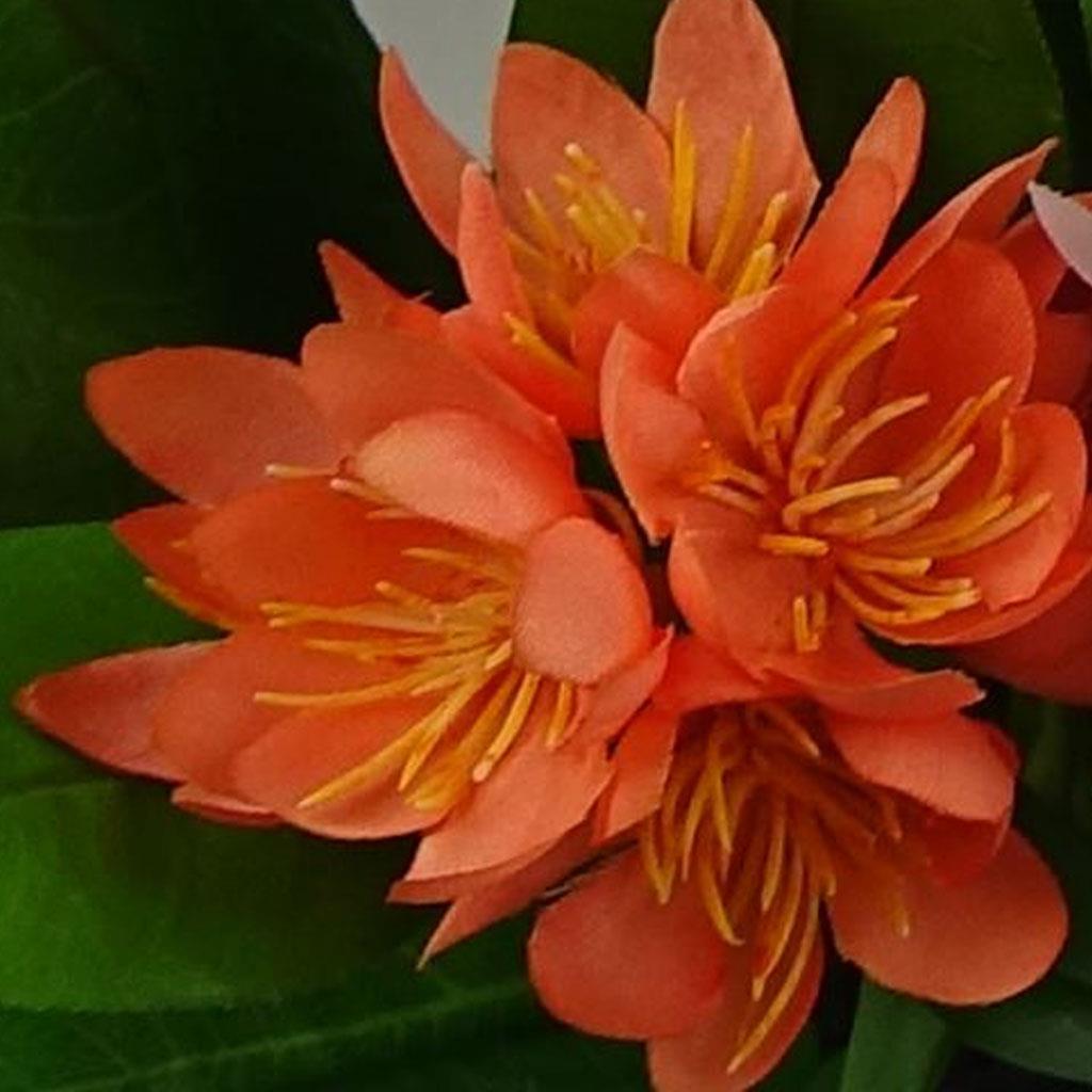18cm Artificial Freesia Plant Orange Flowering